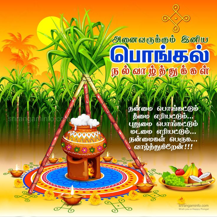 பொங்கல் பண்டிகை